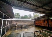 Polres Minahasa Lambat Dalam Penuntasan Kasus Diduga Oknum Anggota Backup Kasus Pencurian Ayam